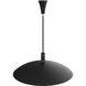Wendell LED 21.5 inch Black / Brass / Black Pendant Ceiling Light